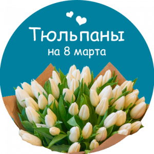 Купить тюльпаны в Ильском